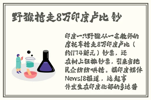 家庭影院vr大片